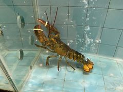 -独一处·物新集市(红谷滩店)