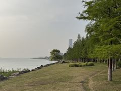 -苏州湾体育公园