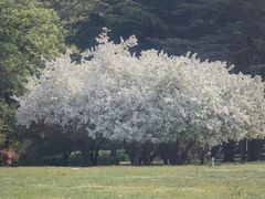 -汇泉广场