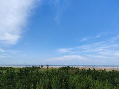 -日照海滨国家森林公园
