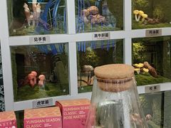 -芸山季·云南山珍菌火锅(南翔印象城MEGA店)