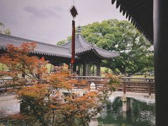 -江心屿景区