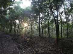-紫金山山顶公园