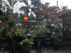 -青城甲(青城山店)