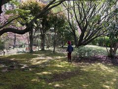 -名古屋城
