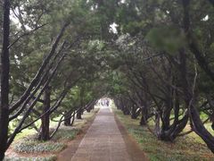 -邙山陵墓群