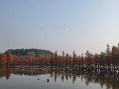 -南湖湿地公园