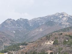 -泰山风景名胜区-虎山公园