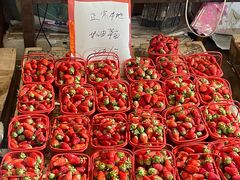 -上海龙吴水胜海发市场