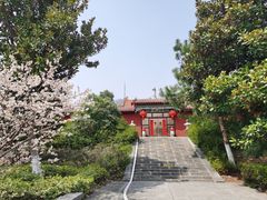 -开福禅寺