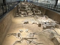 -洛阳周王城天子驾六博物馆