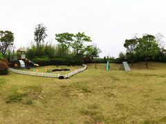 -上海崇明金茂凯悦酒店