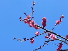 -汇龙潭