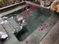 -和顺柏联温泉