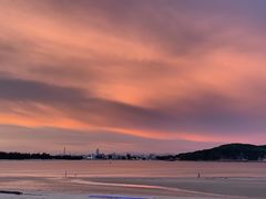 -后海村