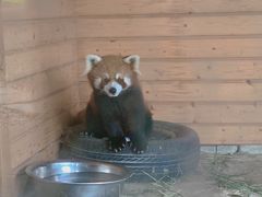 -武汉紫薇都市田园