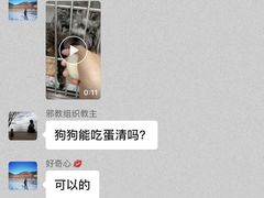 -北京派仕佳德动物医院·超导核磁·CT·神经科·骨科·内外科·急重症管理中心