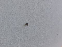 -奈雪的茶(南山大冲一期店)