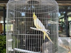 -蘇河湾·新鲁菜·泰山宴(泰山店)