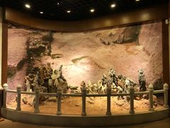 -南越王博物院(王宫展区)