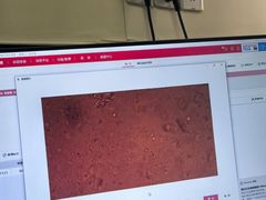 -爱侣宠医·鹦鹉专科·小型哺乳类·异宠专科(灵石路店)