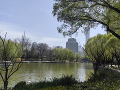 -团结湖公园