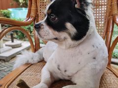 -呼吸森林·生态农庄农家乐私房菜