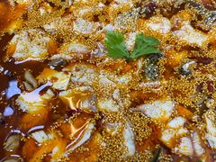 -川渔居—鱼火锅(八方汇店)