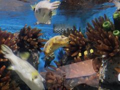 -福州罗源湾海洋世界旅游区