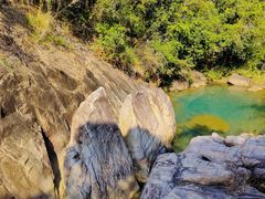 -广州白江湖森林公园