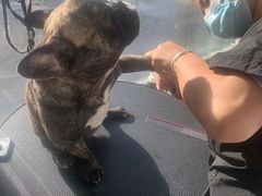 -宠颐生动物医院·心脏科·保险定点(锦阳分院)