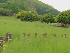 -红花山公园