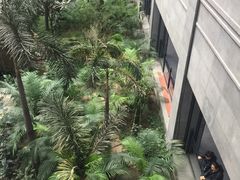 -黑龙江中医药大学附属第一医院