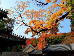 -潭柘寺景区