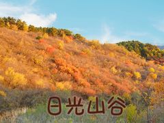 -日光山谷营地乐园