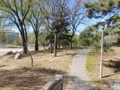 -望湖公园