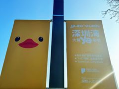 -深圳湾公园(南山区)