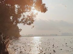-滇池海埂公园