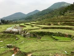 -大姆山草场