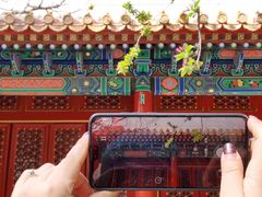-故宫博物院(故宫)