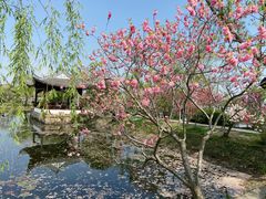 -无锡蠡湖国家湿地公园-蠡园