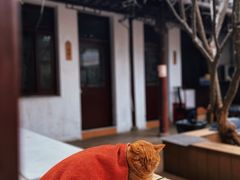 -西园戒幢律寺