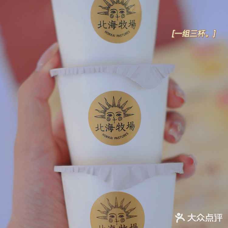 北海牧场乳酪布丁🍮味酸奶