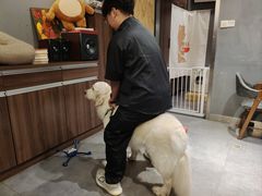 -咖法森林·咖啡  酒吧(天河店)