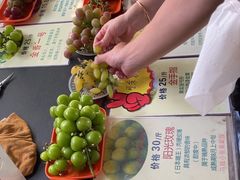 -马陆小张葡萄园农家乐