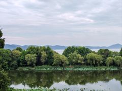 -上海市保健医疗中心