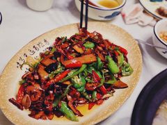 见手青-野菌王•养生汤锅•野生菌火锅(大理漾濞路店)