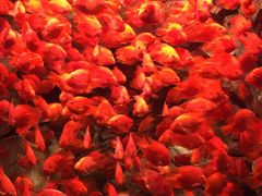 -波塞冬旅游度假区