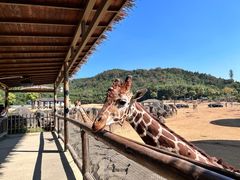 -杭州野生动物世界