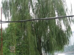 -紫竹院公园冰场